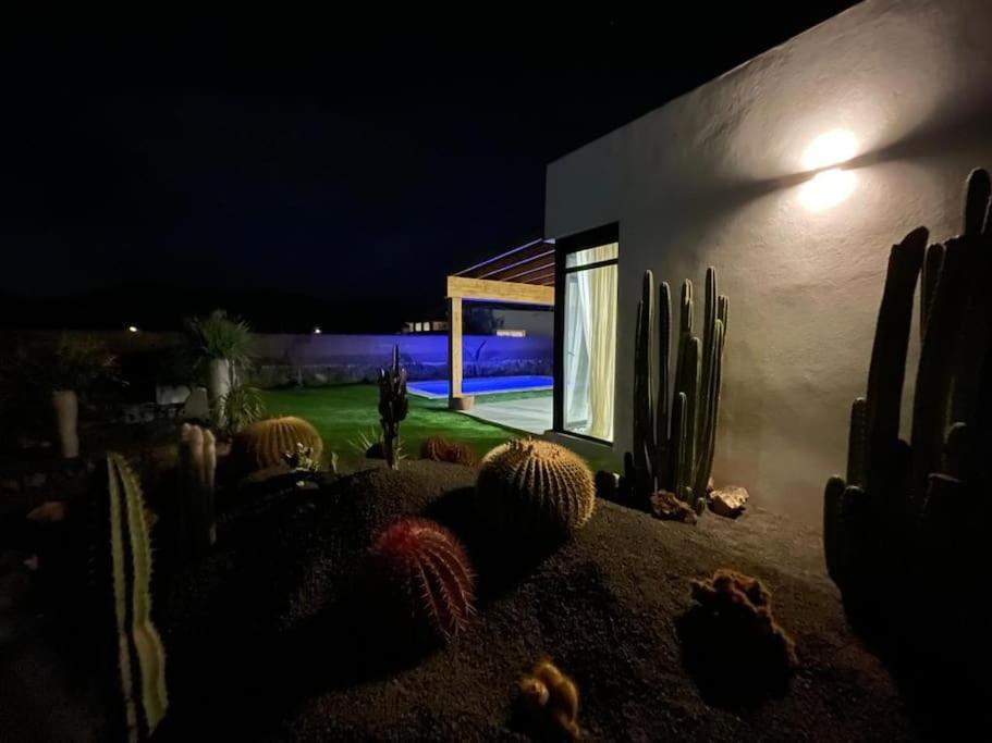 Bungalow + Piscina Independiente La Oliva Kültér fotó