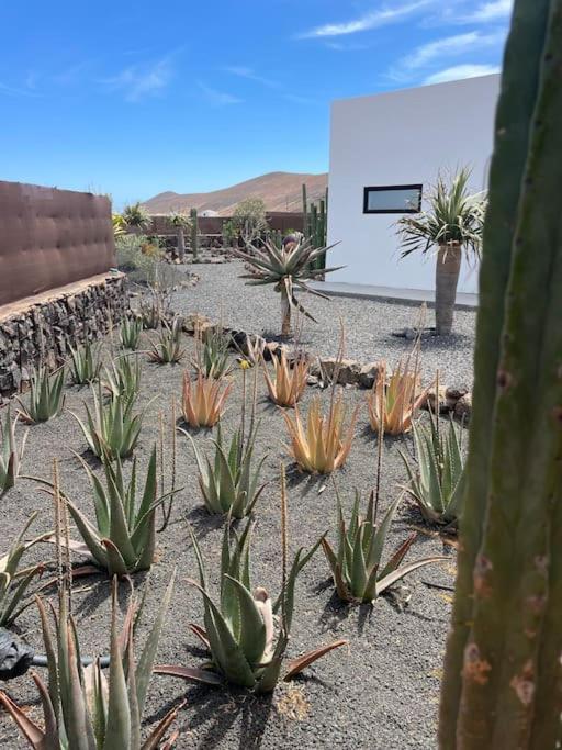 Bungalow + Piscina Independiente La Oliva Kültér fotó